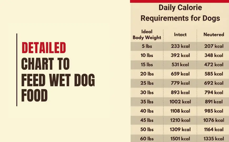 Wet Dog Food Feeding Calculator and Guide